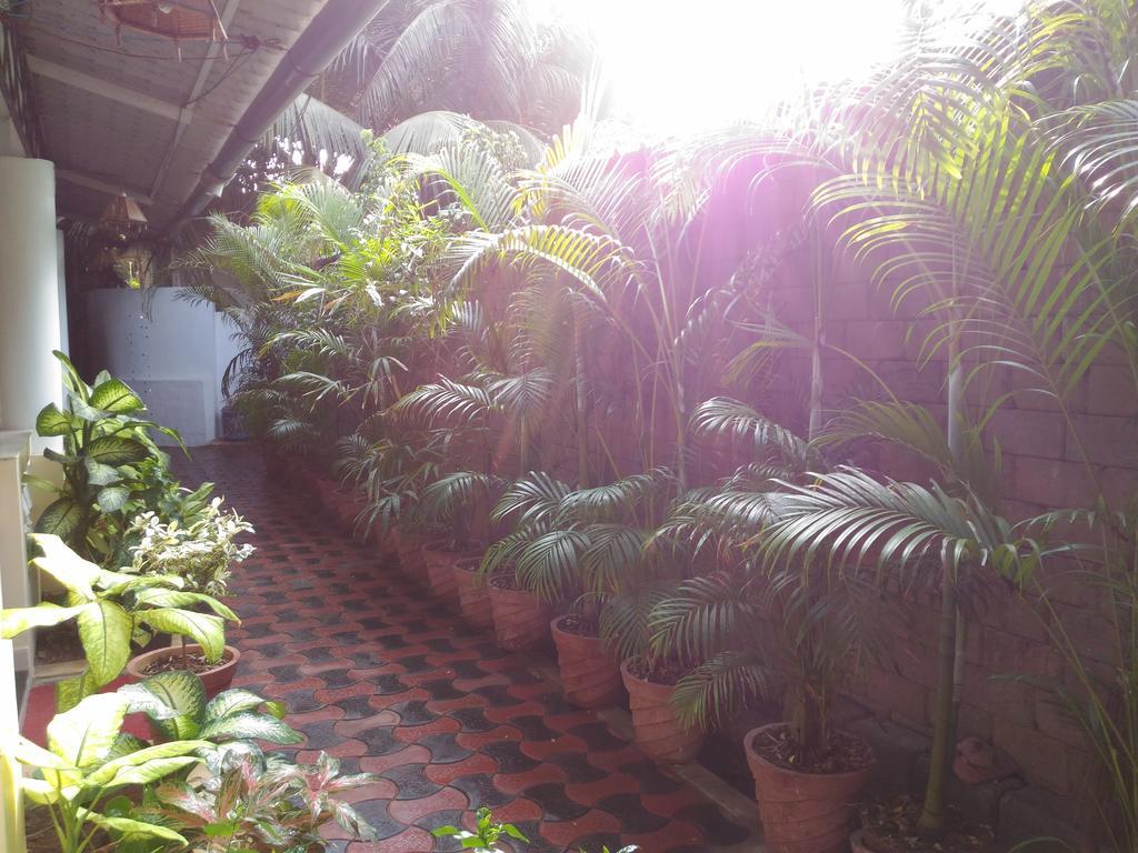 Alba Rooms Palolem Rosebuds Extérieur photo